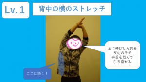 図1 (11)