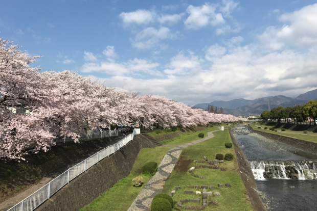 水無川沿い